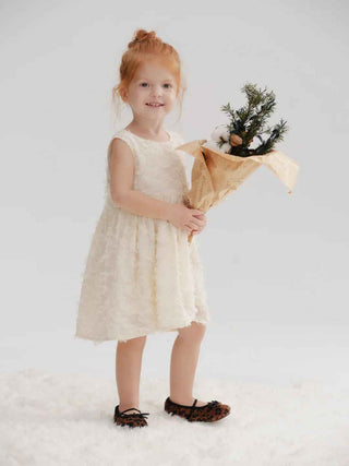 Fringe A-line Dress