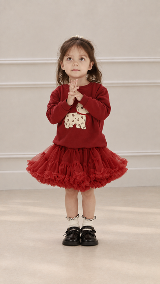 Ode Reverie Tulle Skirt